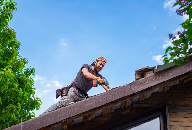 Best Roof Restoration  in USA